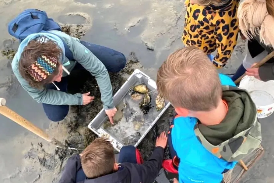 Wad lopen Texel